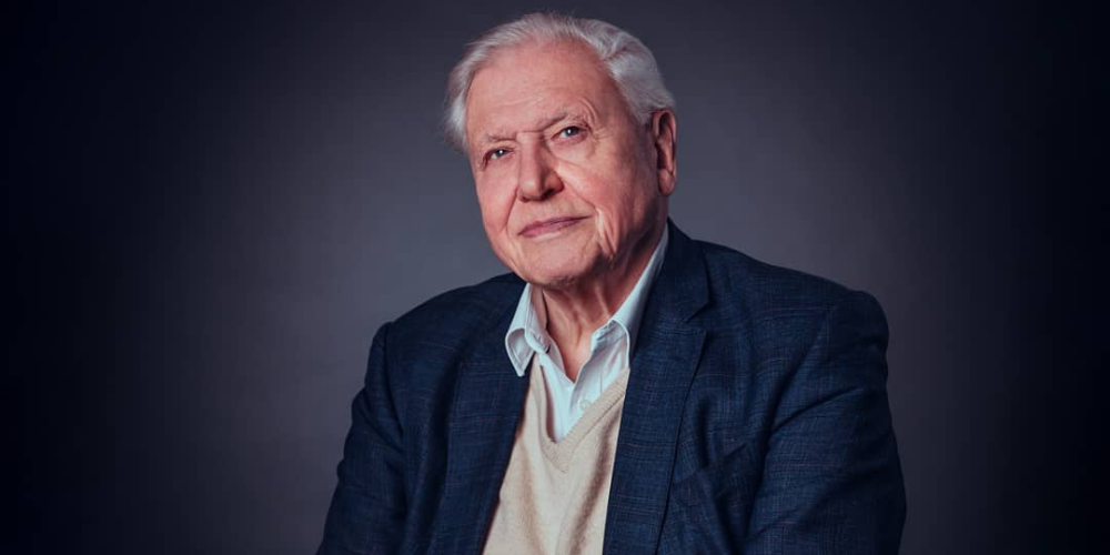 Is David Attenborough’s Diet the Reason He’s Reaching 100?