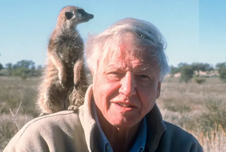 David Attenborough filming wildlife in nature