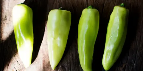 How the Jalapeño Salmonella Outbreak Has Spread to 32 States